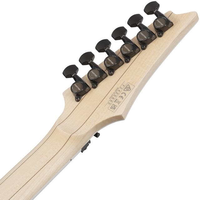 Ibanez Genesis Collection RG565R-EB (Electric Blue) [Limited Model]_5