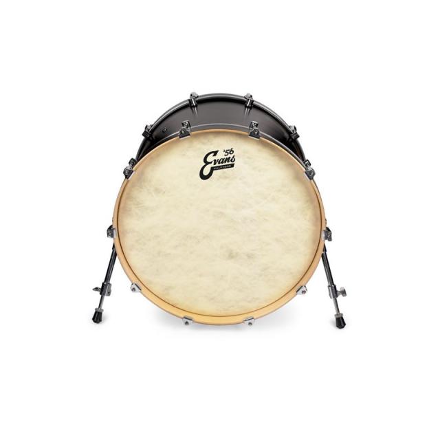 EVANS BD20CT [’56 - Calftone Bass 20 / Bass Drum]【1ply ， 12mil】_2