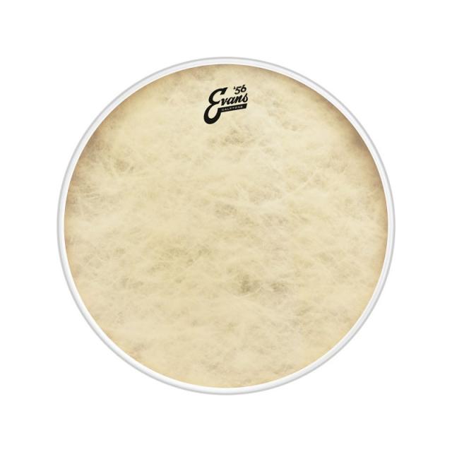 EVANS BD22CT [’56 - Calftone Bass 22 / Bass Drum]【1ply ， 12mil】