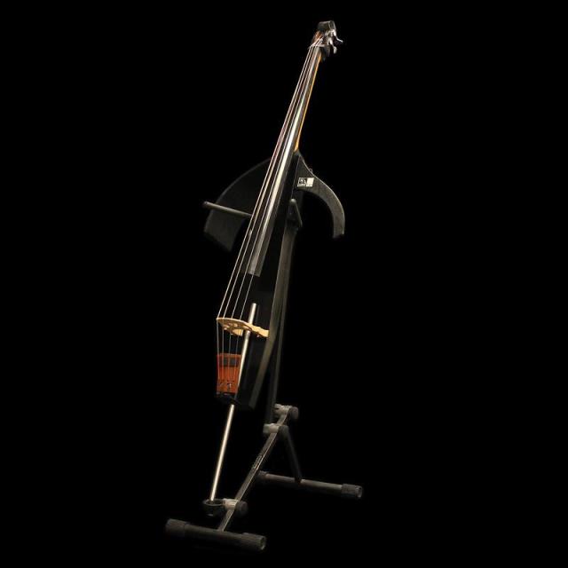 ALTER EGO USED 中古 Baby Ego Figaro Y Full Sound (Black Barnish)