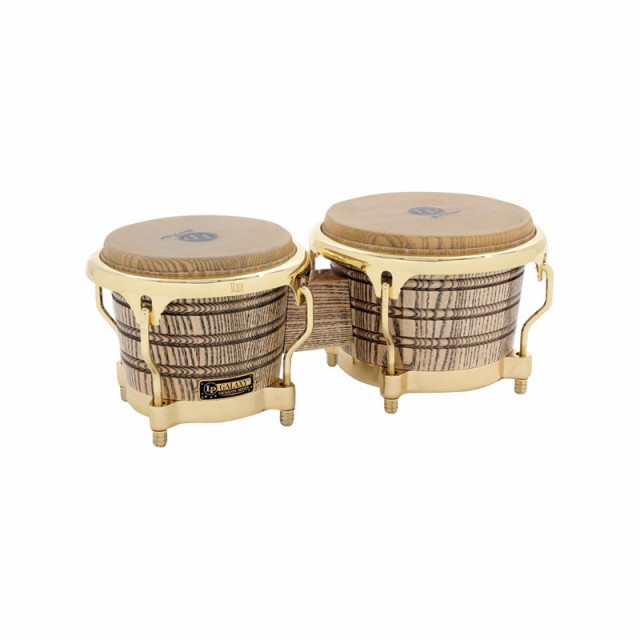 Canopusジャンベ MEINL製 ケース付き - パーカッション・打楽器