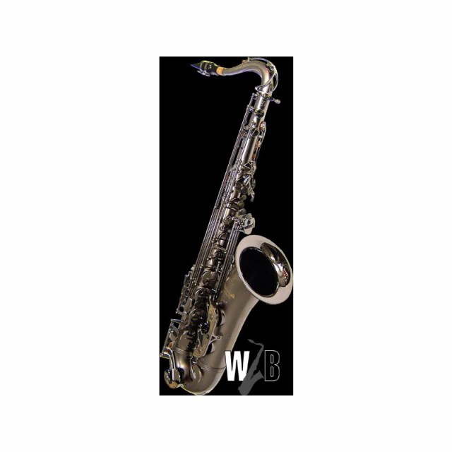 Cannonball テナーサックス キャノンボール T5-BiceB RAVEN レイブン