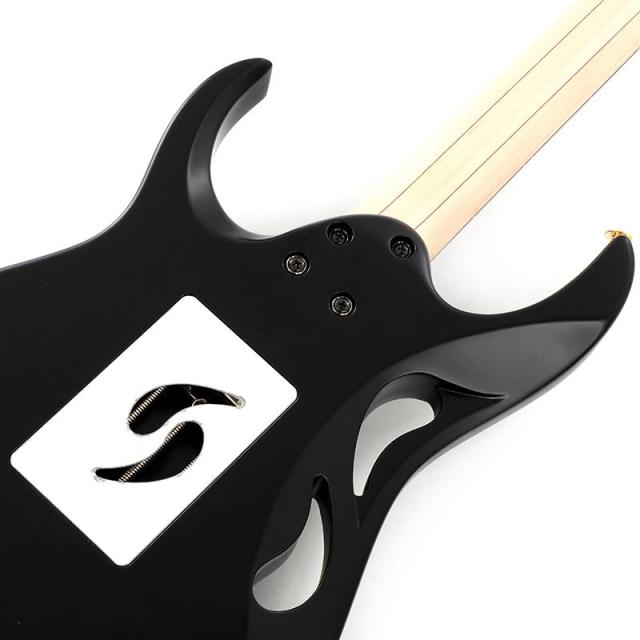 Ibanez PIA3761-XB [Paradise in Art Steve Vai new signature model]_5