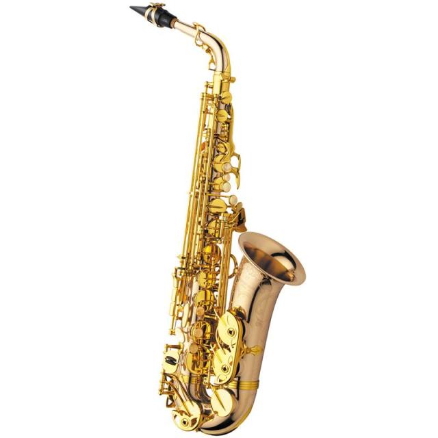 YANAGISAWA アルトサックス ヤナギサワ A-WO20 【調整&セットアップ後出荷】【5年間キーバランス調整無料】