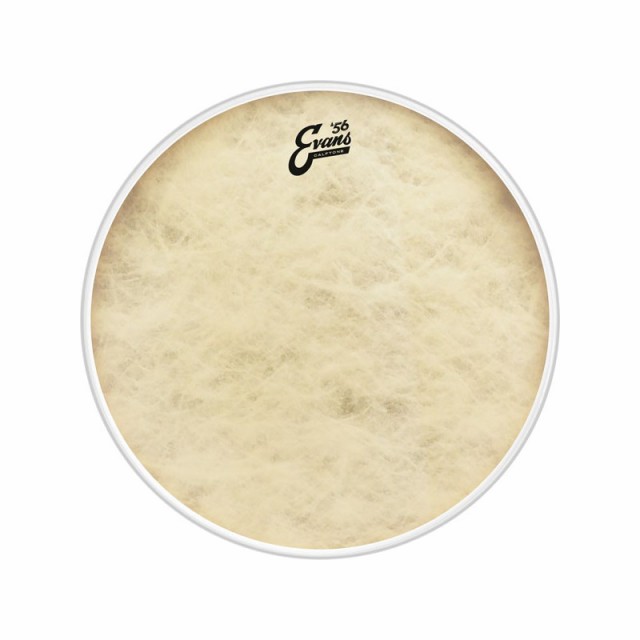 EVANS BD24CT [’56 - Calftone Bass 24 / Bass Drum]【1ply ， 12mil】【お取り寄せ品】