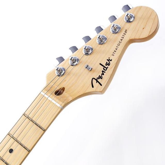 Fender Standard Series Standard Stratocaster (Candy Cola/Maple) 【特価】_8