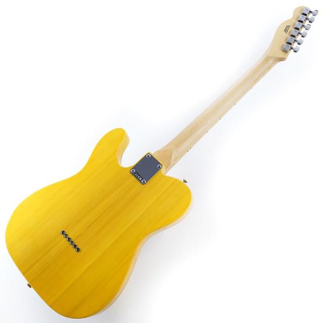 Fender Standard Series Standard Telecaster (Butterscotch Blonde/Maple) 【特価】_2