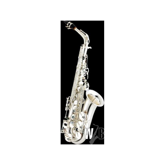 Cadeson カドソン A-902AS アルトサックスE♭管 CADESON カドソン A-902AS アルトサックス - メルカリ