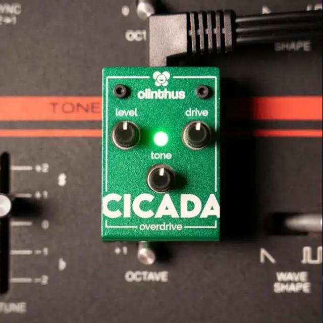 olinthus CICADA（オーバードライブ）_4