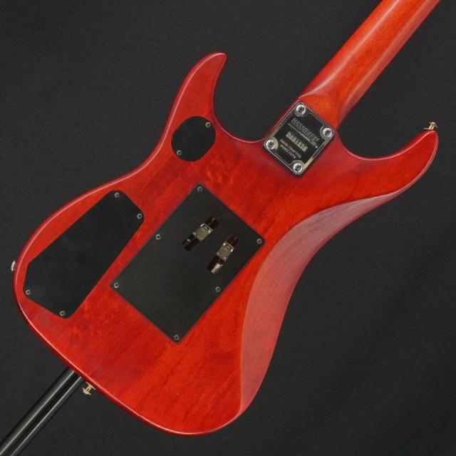 Washburn USED 中古 N2-NUNO PADAUK Stain[SN.3091576] ワッシュバーン_1