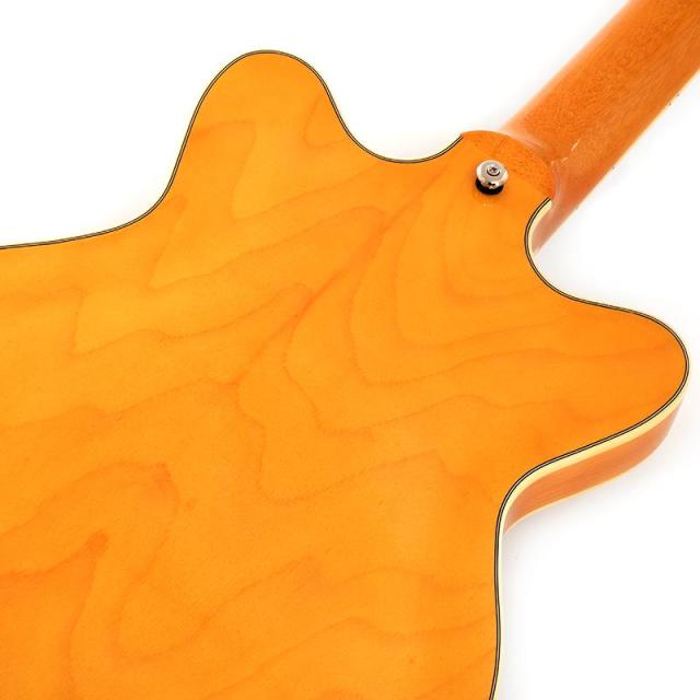 GRETSCH G2655 Streamliner Center Block Jr. Double-Cut with V-Stoptail (Village Amber)_5