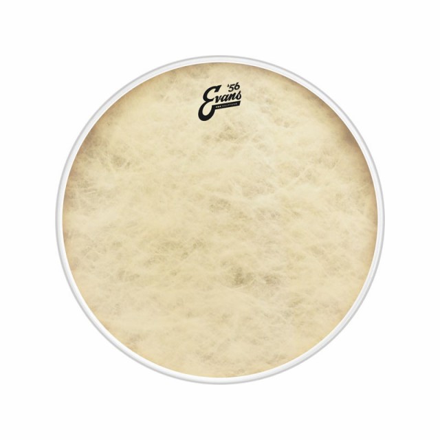 EVANS BD24GB4CT [’56 - EQ4 Calftone Bass 24 / Bass Drum]【1ply ， 12mil + 10mil ring】【お取り寄せ品】