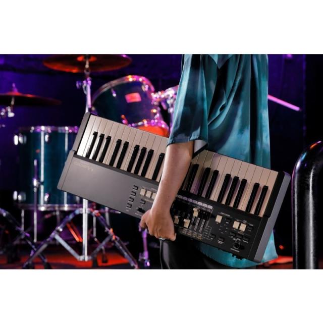 HAMMOND M-solo (49鍵盤・ハモンドドローバーオルガン)の通販はau PAY