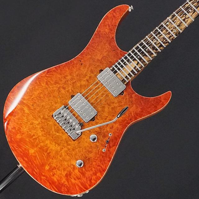 Koca Guitars USED 中古 Light 6 String (Burl Maple Top / Pale Moon Ebony / Birds Eye Maple Neck) コカギターズ