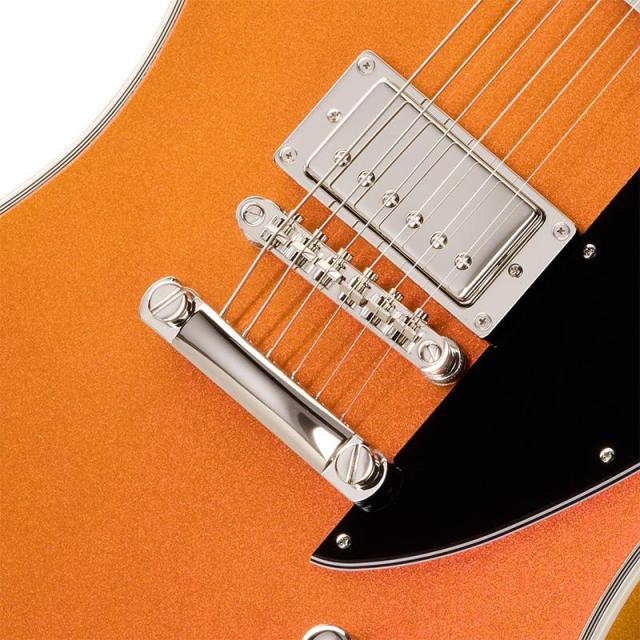 Epiphone 【IKEBE×Gibson Golden Week】Futura Firebird Custom (Firestorm Shift)_2