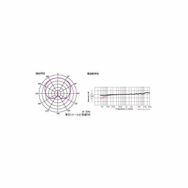 audio-technica AT4021