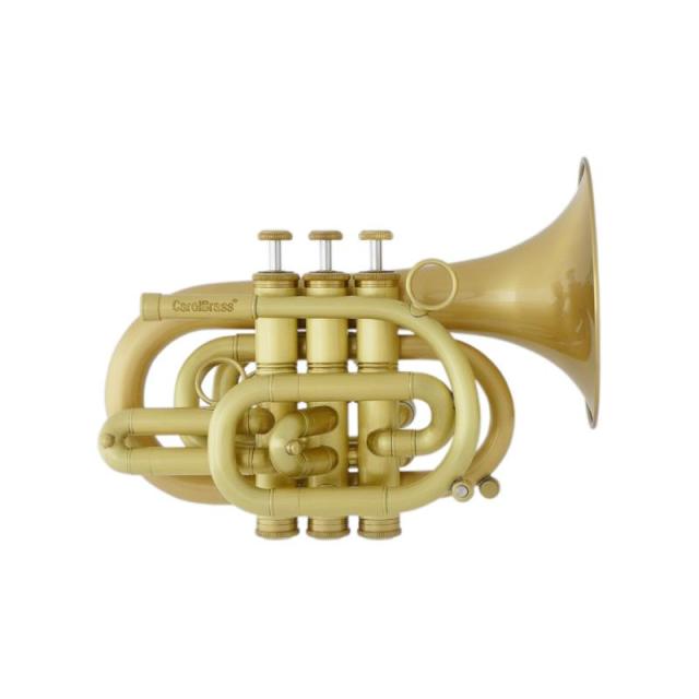 CAROL BRASS キャロルブラス / N3000(D) ALL-SATIN GB 【Bb ポケット トランペット 】【出荷前調整で安心】