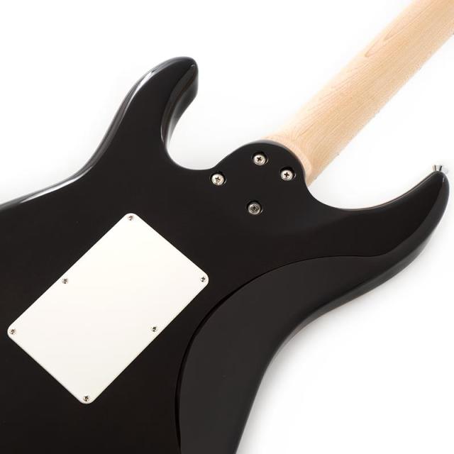 SCHECTER SD-2-24-AL (See-thru Red/Maple) 【特価】_5