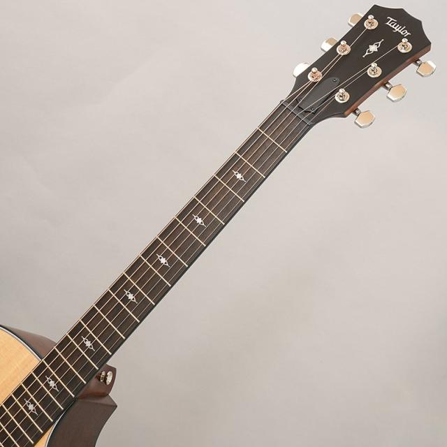 TAYLOR 314c テイラー_8