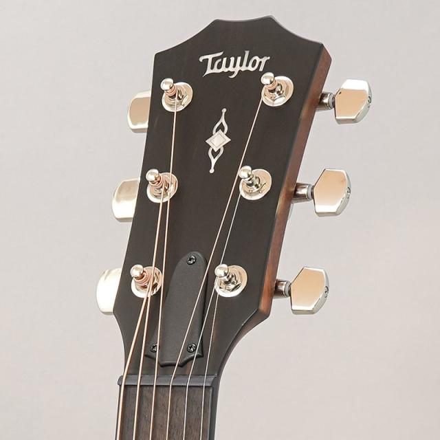 TAYLOR 314c テイラー_10