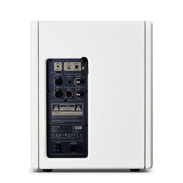 Positive Grid Spark CAB Pearl[140Wパワード・キャビネット]（ポジティブ ポジティヴ グリッド）_1