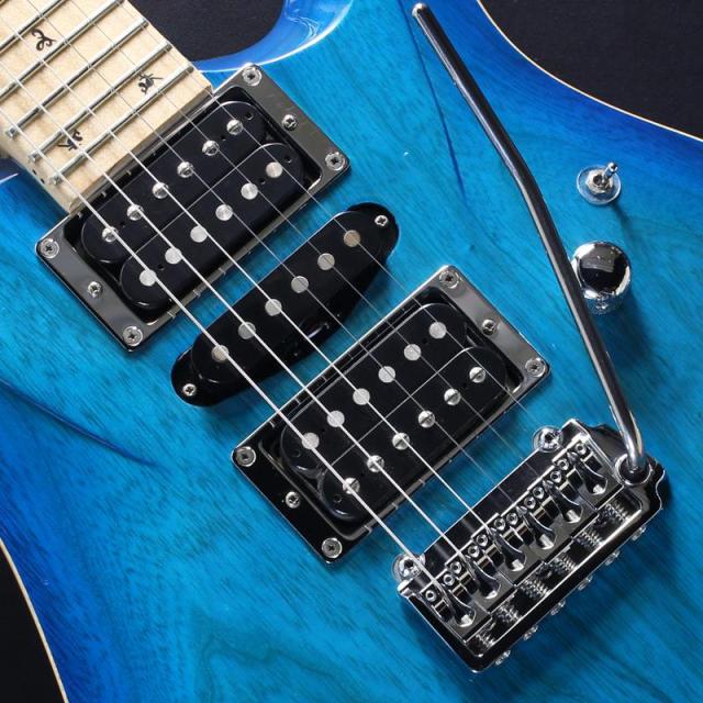 G-Life Guitars USED 中古 DSG Classic (Royal Blue Turquoise)_3