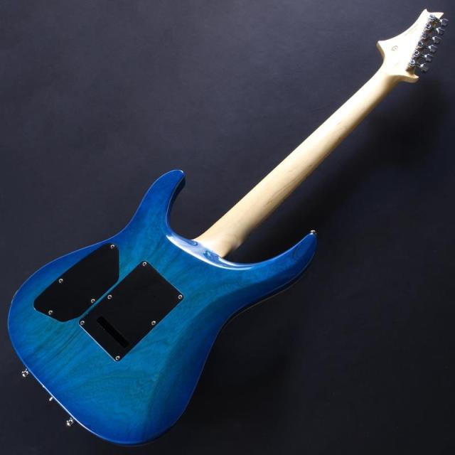 G-Life Guitars USED 中古 DSG Classic (Royal Blue Turquoise)_5