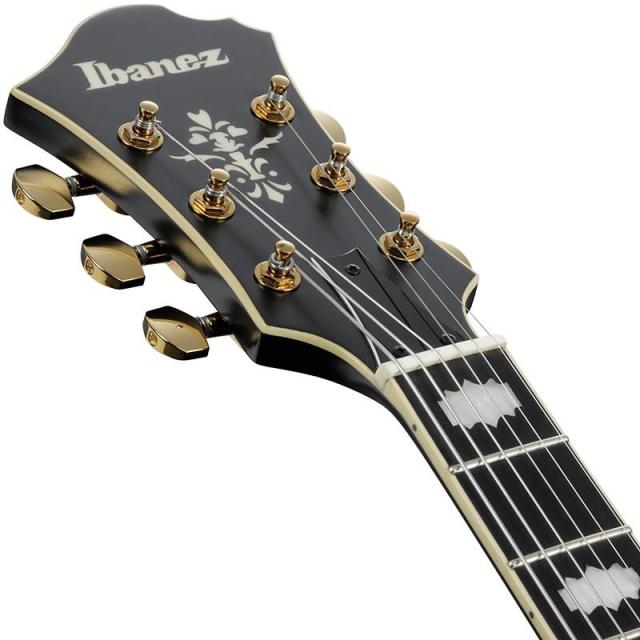 Ibanez ARTSTAR PM3C-BKL (Black Low Gloss) [Pat Metheny Model] [SPOT MODEL]_4
