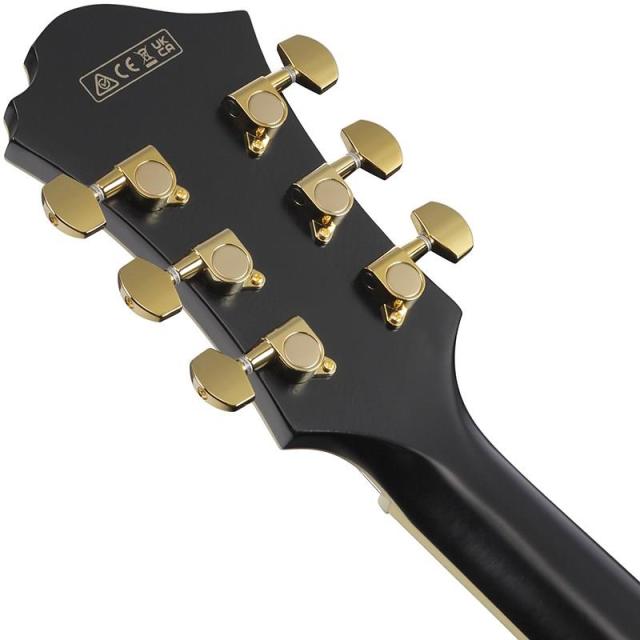 Ibanez ARTSTAR PM3C-BKL (Black Low Gloss) [Pat Metheny Model] [SPOT MODEL]_5
