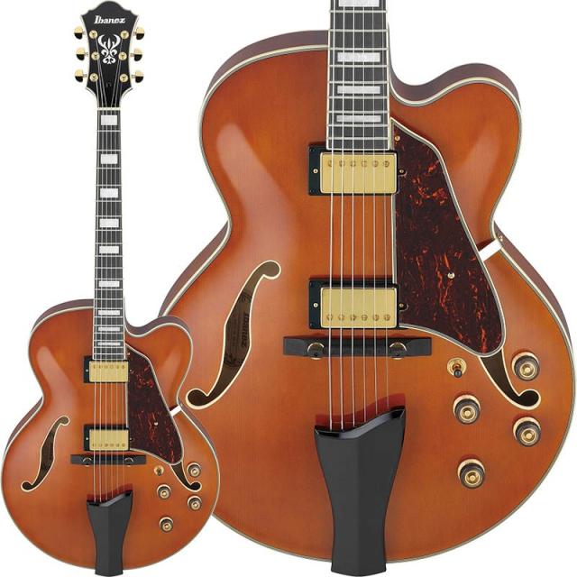 Ibanez Artcore Expressionist AF95-DA [SPOT MODEL]の通販は 56,925円