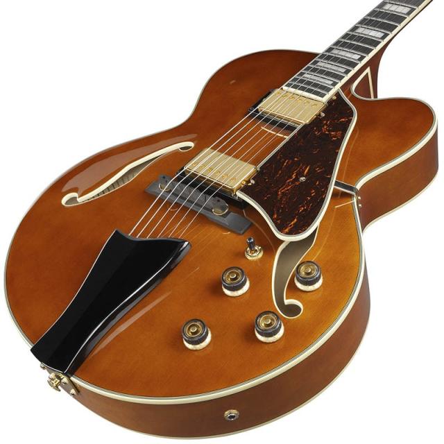 Ibanez Artcore Expressionist AF95-DA (Dark Amber) [SPOT MODEL]_2