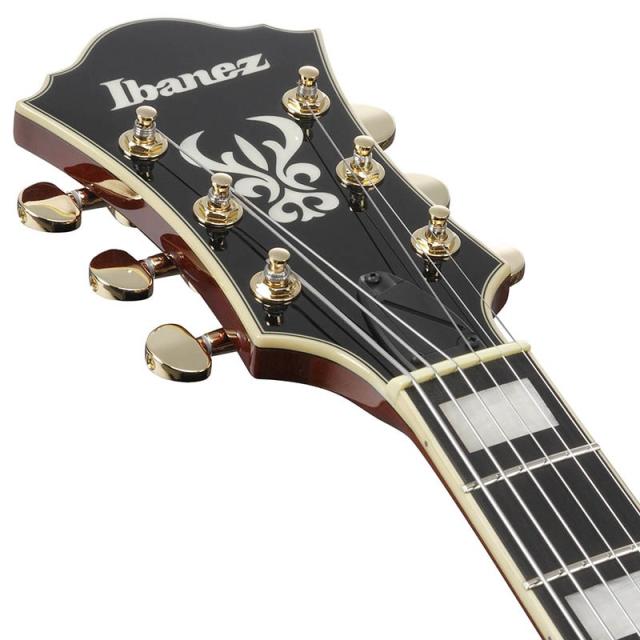 Ibanez Artcore Expressionist AF95-DA (Dark Amber) [SPOT MODEL]_4