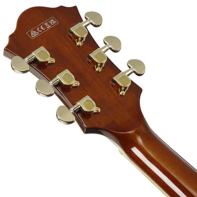 Ibanez Artcore Expressionist AF95-DA (Dark Amber) [SPOT MODEL]_5