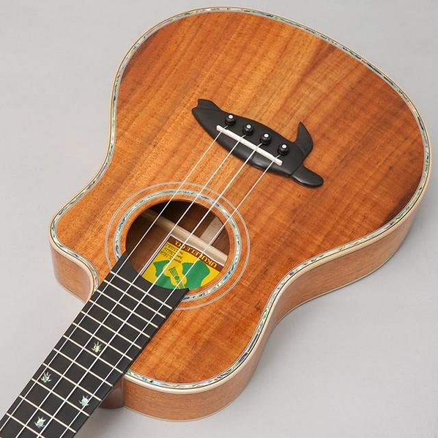 BIG ISLAND KX-TRCG KX Koa Tenor Cutaway ビッグアイランド