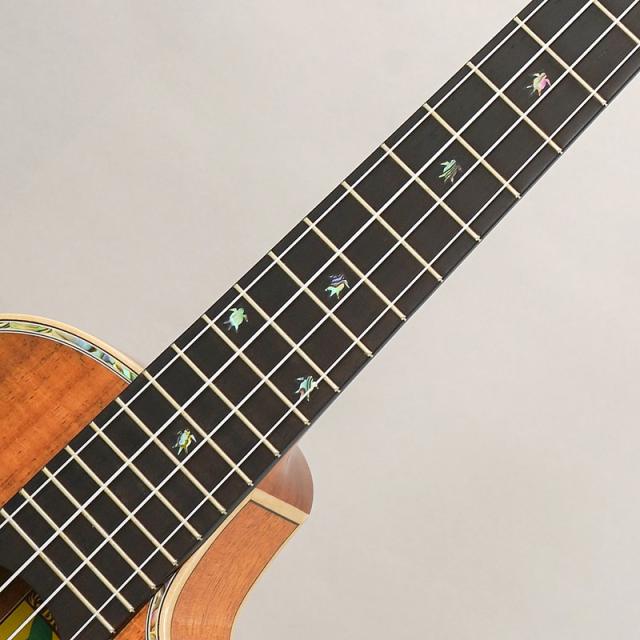 BIG ISLAND KX-TRCG KX Koa Tenor Cutaway ビッグアイランド