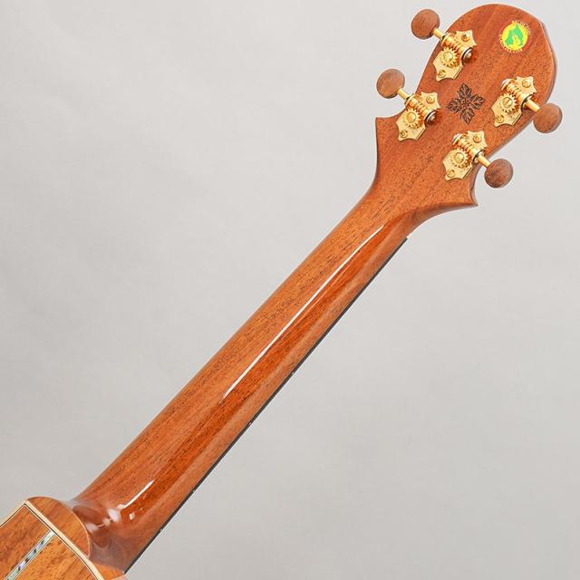 BIG ISLAND KX-TRCG KX Koa Tenor Cutaway ビッグアイランド