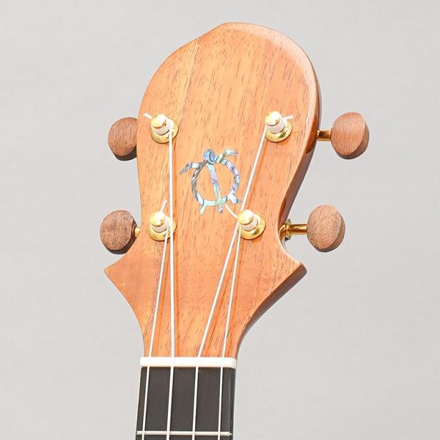 BIG ISLAND KX-TRCG KX Koa Tenor Cutaway ビッグアイランド