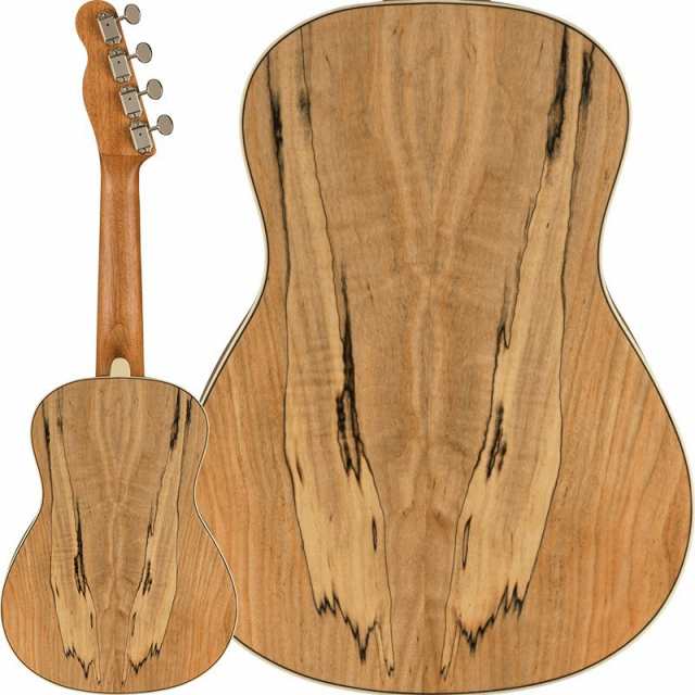 Fender Acoustics Fender ZUMA EXOTIC CONCERT UKULELE (Spalted Maple) 【お取り寄せ】 フェンダー  ウクレレ