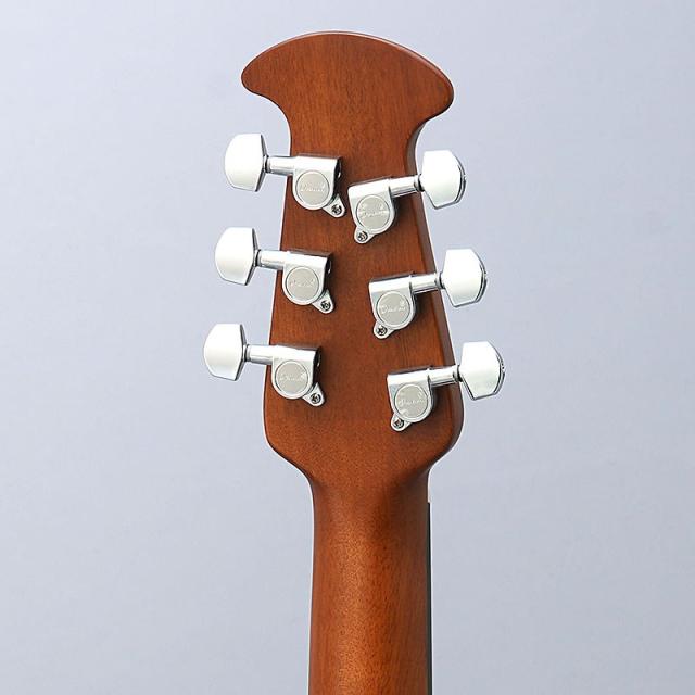 スキナカミ1000g（美容室専用）ウコンパウダー 無添加 天然