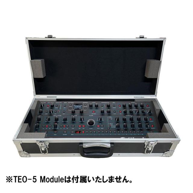 Oberheim TEO-5 Module 専用ハードケース (オーバーハイム)(日本製)_1