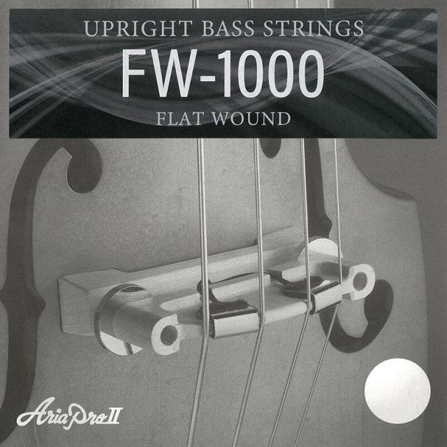 ARIA 【入荷待ち、ご予約受付中】 FW-1000