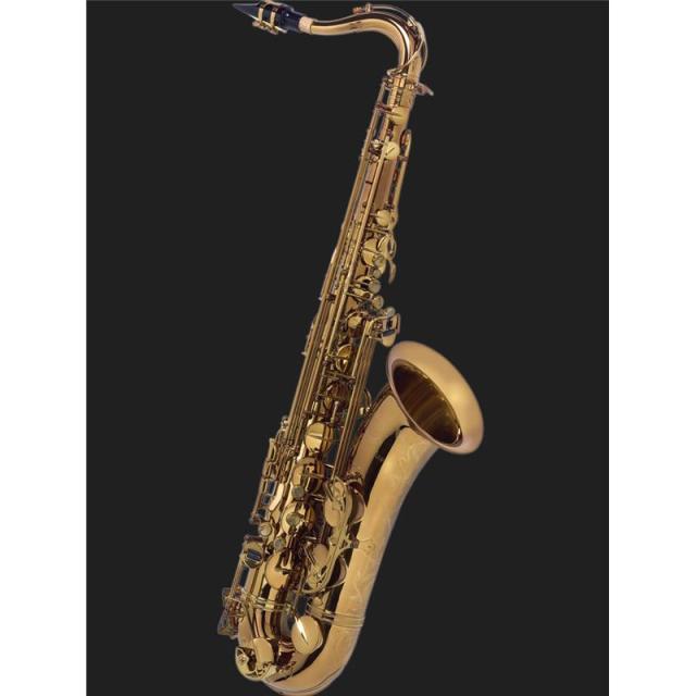 SHURE GLXD16+J-Z2＋Oyaide WL-606II SXS / 0.6m （ GLXD16用