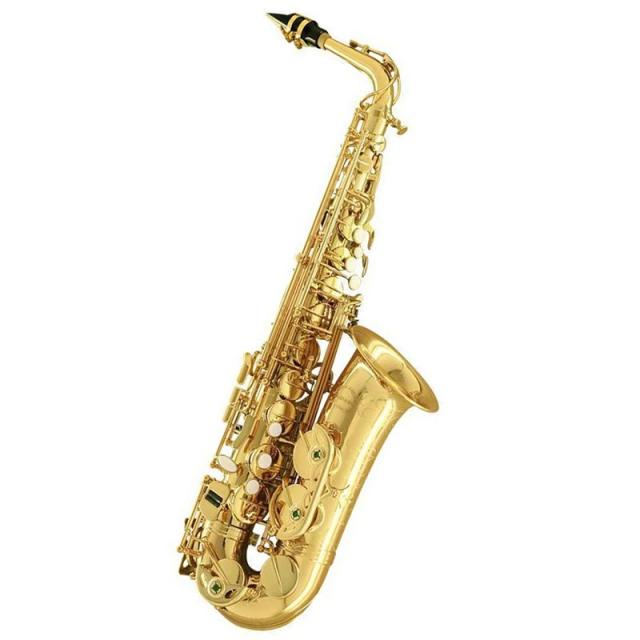 【中古】（非常に良い）8B1N2 (CANARE) コネクタボックス 8ch シングルボックス CANARE 8B1N2 8chシングルボックス（XLRメス） | TOMOCA ONLINE SHOP