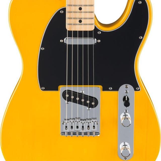 Fender Standard Series Standard Telecaster (Butterscotch Blonde/Maple) 【特価】_2