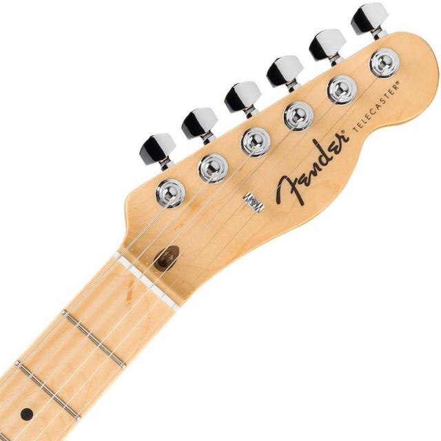 Fender Standard Series Standard Telecaster (Butterscotch Blonde/Maple) 【特価】_3