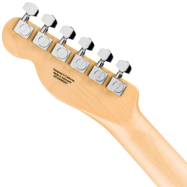 Fender Standard Series Standard Telecaster (Butterscotch Blonde/Maple) 【特価】_4