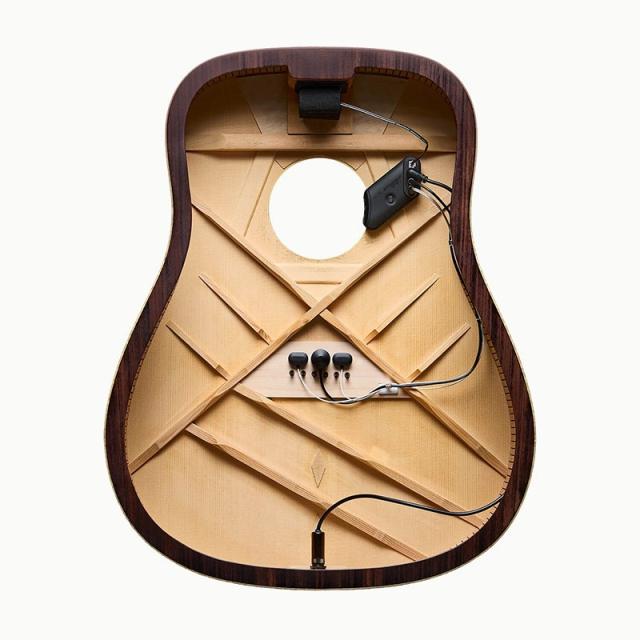 L.R.Baggs HiFi Duet
