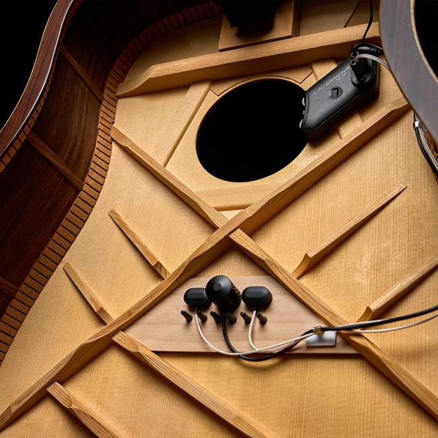 L.R.Baggs HiFi Duet