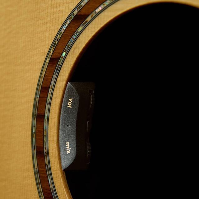 L.R.Baggs HiFi Duet