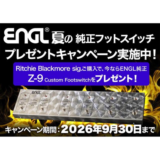 ENGL Ritchie Blackmore Signature [E650/2] & Z-9 フットスイッチ セット（リッチー ブラックモア エングル）_8